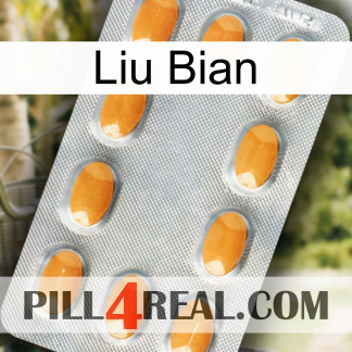 Liu Bian cialis3